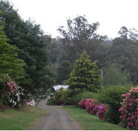 Mountain Rivers Lodge - Taree Accommodation