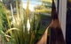 Cape View Cottage - thumb 0
