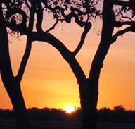 Coodardie Station Stay - Taree Accommodation