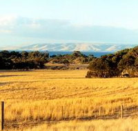 The Kona - Taree Accommodation