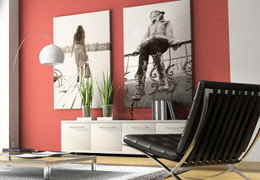 A Good Sort - Taree Accommodation 3