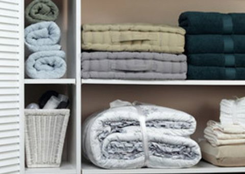 A Good Sort - Taree Accommodation 6