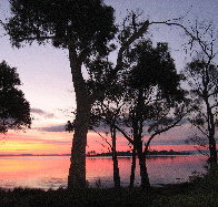 Abs By The Bay - Taree Accommodation