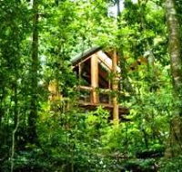 Fur'N'Feathers Rainforest Tree Houses - Taree Accommodation