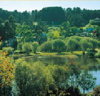 Possum Cottage On The Lake - Taree Accommodation
