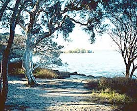 The Cove - Taree Accommodation 0