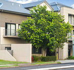 Quest Maitland Serviced Apartments - Taree Accommodation