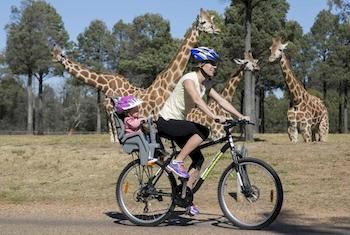 Zoofari Lodge, Taronga Western Plains Zoo - Taree Accommodation 7