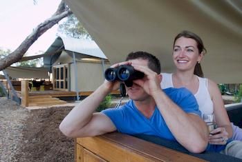 Zoofari Lodge, Taronga Western Plains Zoo - Taree Accommodation 12