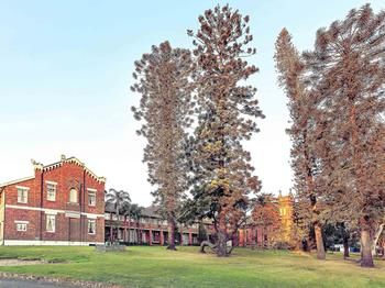 Mercure Maitland Monte Pio - Taree Accommodation 52