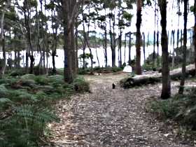 Camping At Bruny Island - Taree Accommodation 1