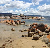 Lake Eckersley campground - Taree Accommodation