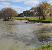 Kangaroo Lake Caravan Park - Taree Accommodation