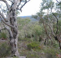The Glen - Taree Accommodation