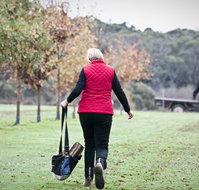 Black Cat Cottage - Taree Accommodation