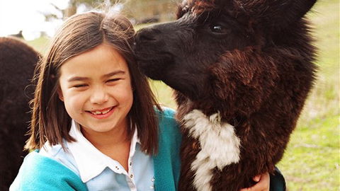 Sabrelyn Park - Taree Accommodation 1