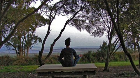 Sabrelyn Park - Taree Accommodation 4