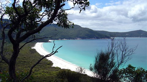 Sabrelyn Park - Taree Accommodation 6