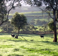 Bellevue Farmstay - Taree Accommodation
