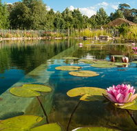 Planetrees Estate  - Taree Accommodation