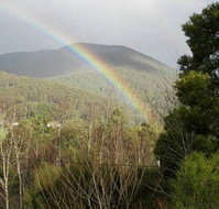 Wattletree Cottage - Taree Accommodation