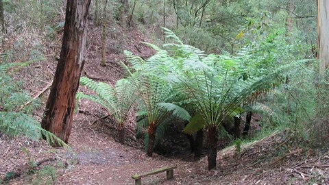 Muxy's Place - Taree Accommodation 1