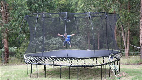 Muxy's Place - Taree Accommodation 2