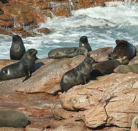 Yondah Beach House - Taree Accommodation