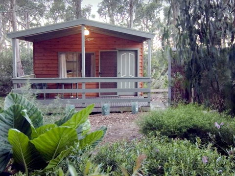 A Maze 'N Things Holiday Park - Taree Accommodation 0