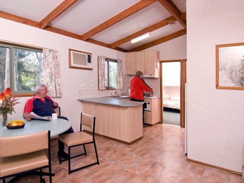 A Maze 'N Things Holiday Park - Taree Accommodation 2