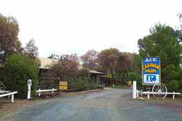 Ace Caravan Park - Taree Accommodation 0