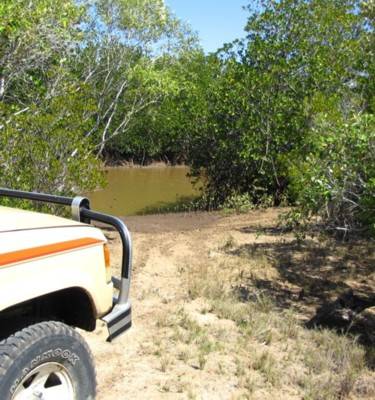 Alva Beach Tourist Park - Taree Accommodation 2