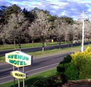 Avenue Motel - Taree Accommodation