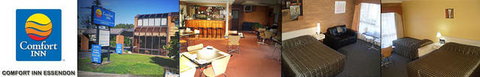 Comfort Inn Essendon - Taree Accommodation 8