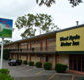 Red Star Hotel West Ryde - Taree Accommodation