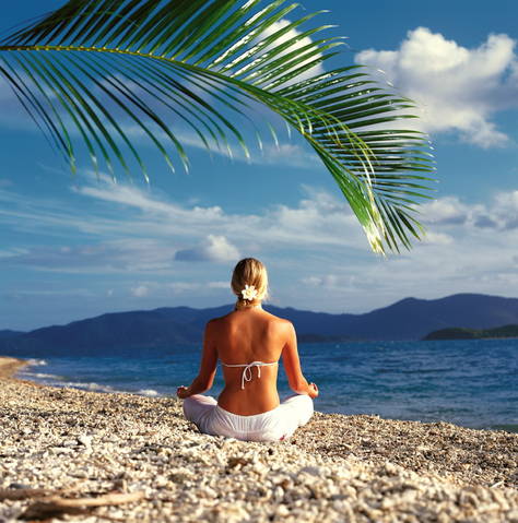 Daydream Island Resort & Spa - Taree Accommodation 0