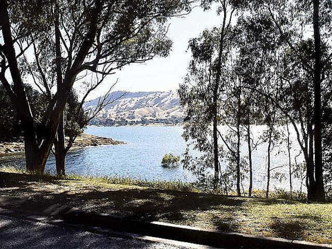 Ibis Styles Albury Lake Hume Resort - Taree Accommodation 1