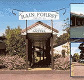 Jefferys Motel  Caravan Park - Taree Accommodation