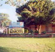 Mercury Motor Inn - Taree Accommodation