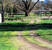 Mongans Bridge Camping Park - Taree Accommodation