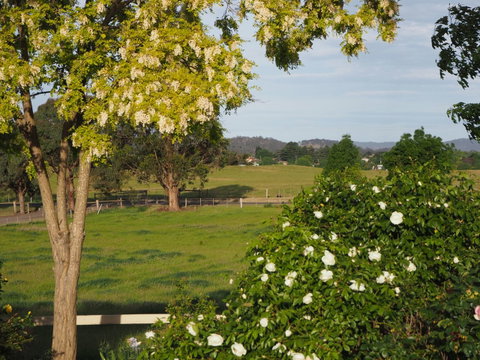 Myamba House Kyneton - Taree Accommodation 5