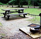 Bellbird campground - Taree Accommodation