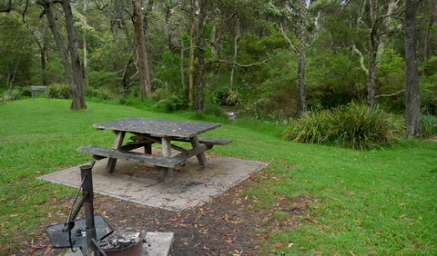 Chaelundi Campground - Taree Accommodation 0