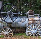 Dingo Tops campground - Taree Accommodation