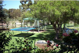 Tarcutta Halfway Motor Inn/Horse Hotel - Taree Accommodation 5
