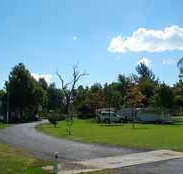 Wairo Beach Tourist Park - Taree Accommodation