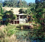 Walkabout Holiday House - Taree Accommodation