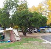 Wedderburn Pioneer Caravan Park - Taree Accommodation