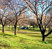 Wellington Caves Caravan Park - Taree Accommodation