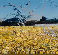 Wooleen Station - Taree Accommodation